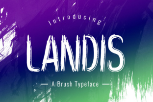 Landis: A Real-World Review for Designers